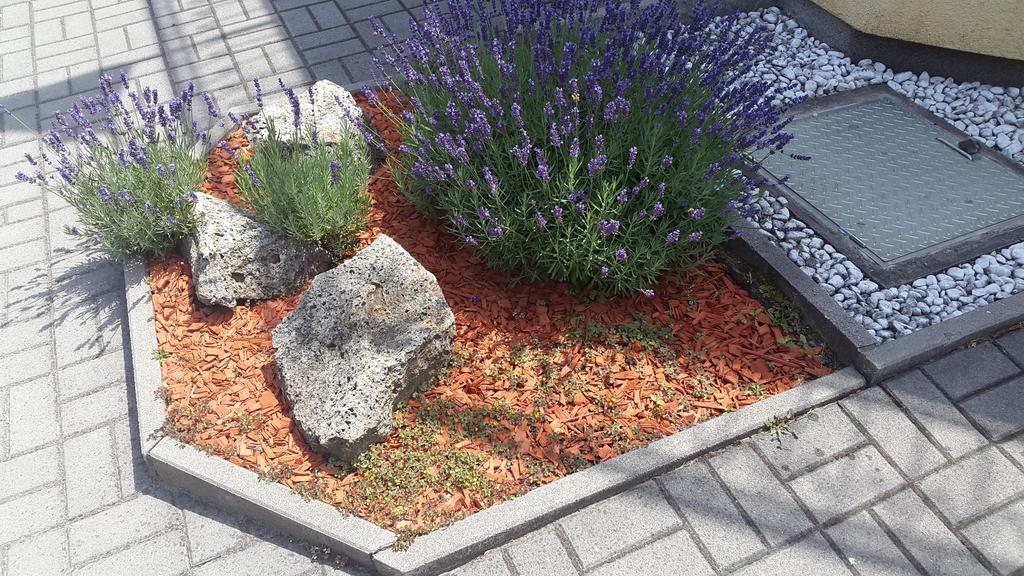Balatonmáriafürdő Hajas Familia Kiado Szobak מראה חיצוני תמונה
